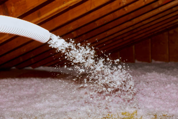 Best Residential Insulation in Oxford, GA
